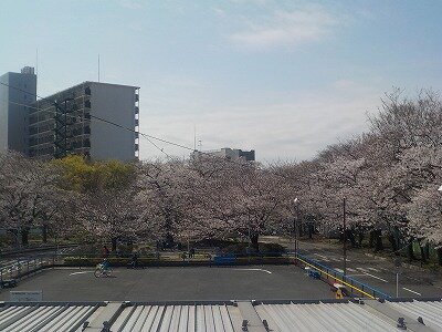練習場.jpg