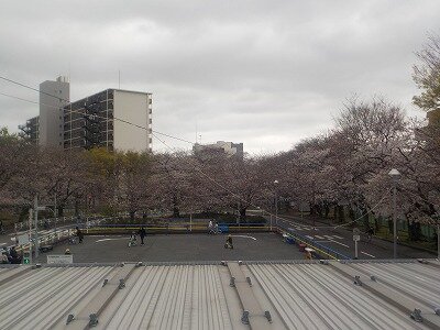 練習場.jpg