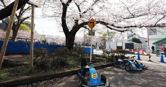 車両の種類と台数